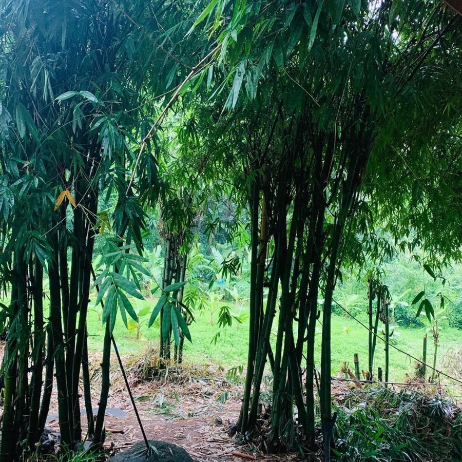 Готель สวนฉัน Igarden Ban Pang Champi Екстер'єр фото